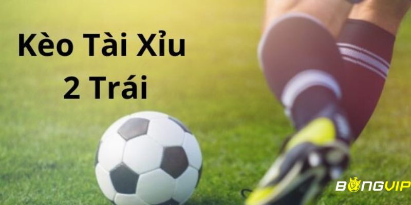 kèo tài xỉu 2 trái Kinh nghiệm soi kèo tài xỉu 2 trái từ các chuyên gia